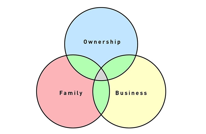 Three circle model (family, business, ownership) each over lapping each other slightly
