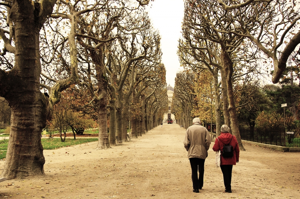 two elderly people walking in a park