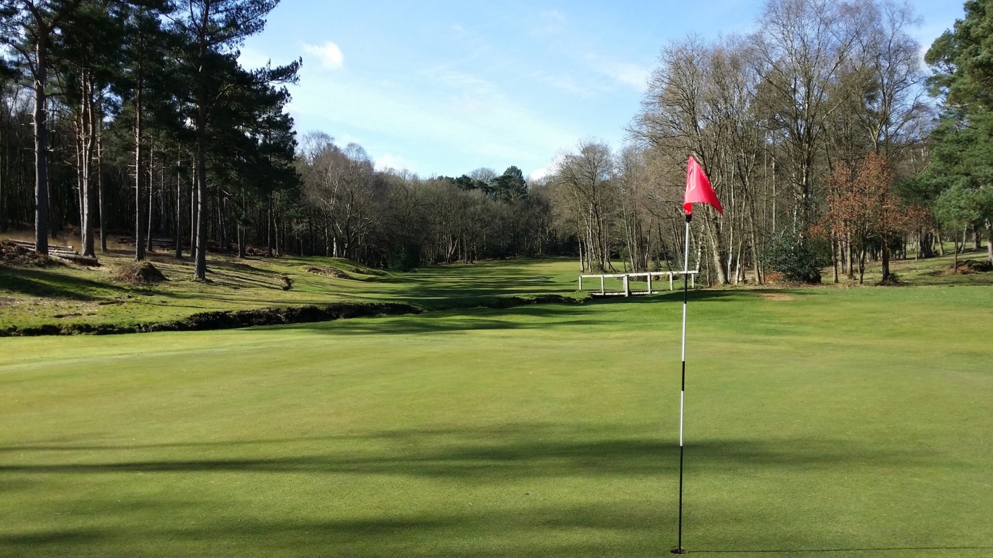 Golf course with red flag on hole