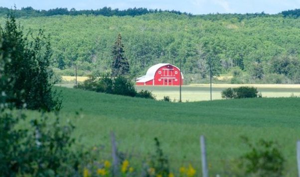 Red barn on farm fields
