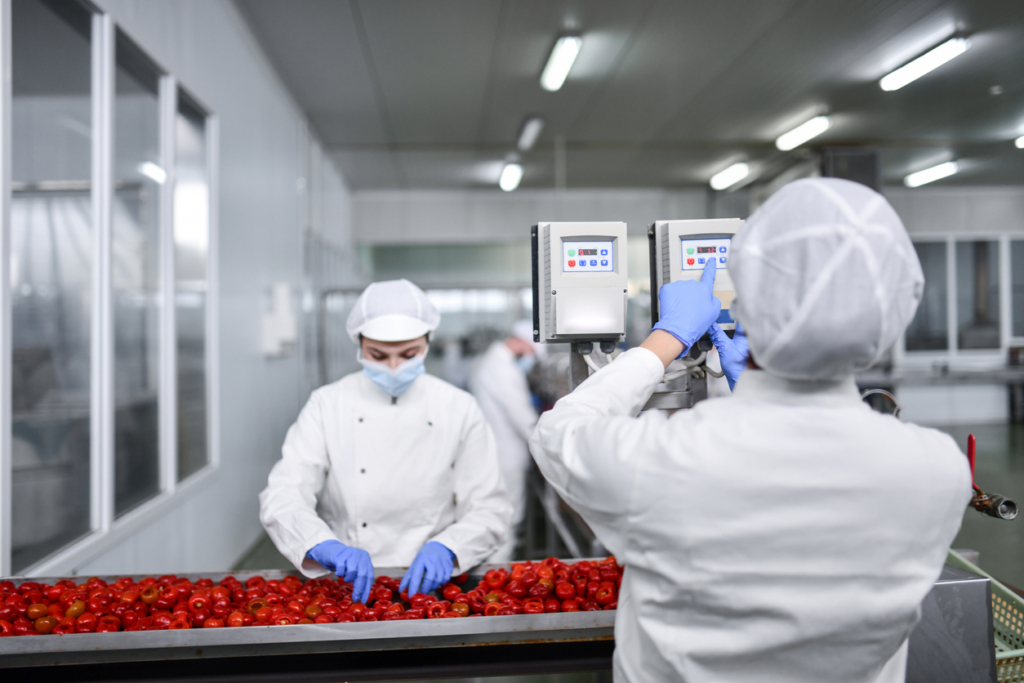 Female Worker Programming Production Line Speed While Sorting Cherry Peppers In Food Processing Plant