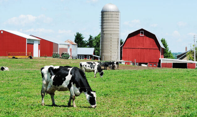 Farm Losses can be Restricted: May Apply Even When Significant Time and Cash is Invested