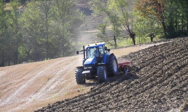 Blue tractor in field.