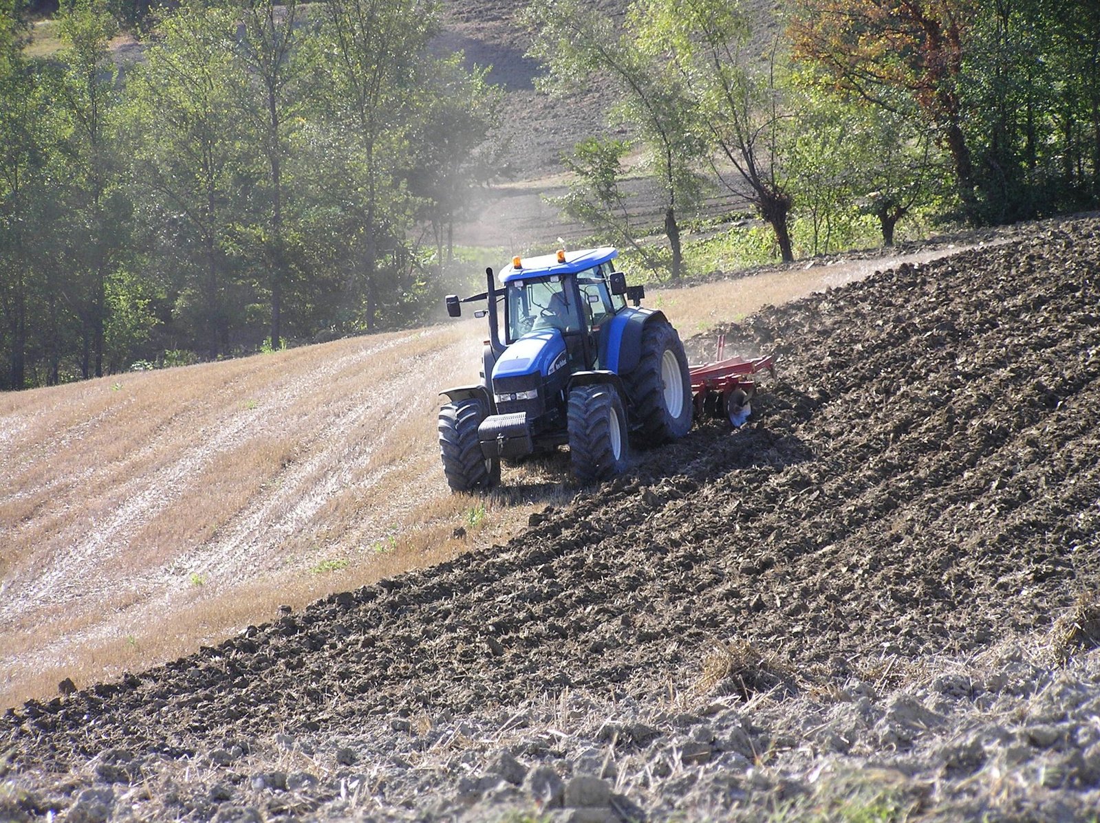 Blue tractor in field.