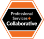 Professional Services + Orange Colour Logo