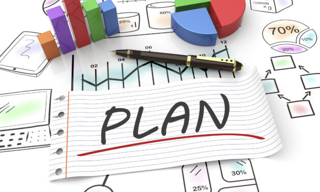 Business strategy planning as a concept