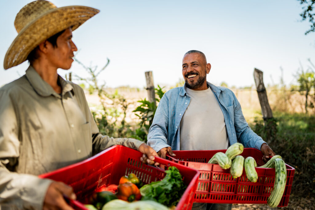 Farmers men holding vegetables boxes and talking at farm