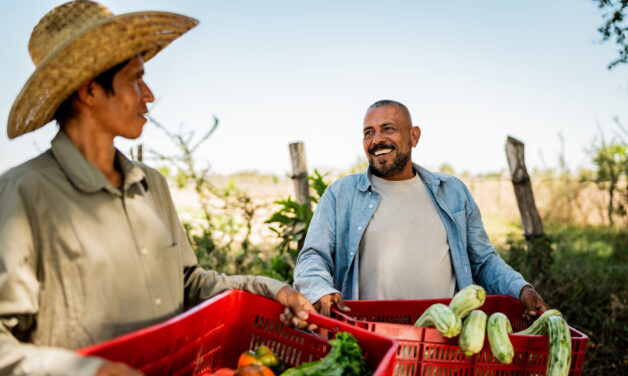 Farmers men holding vegetables boxes and talking at farm