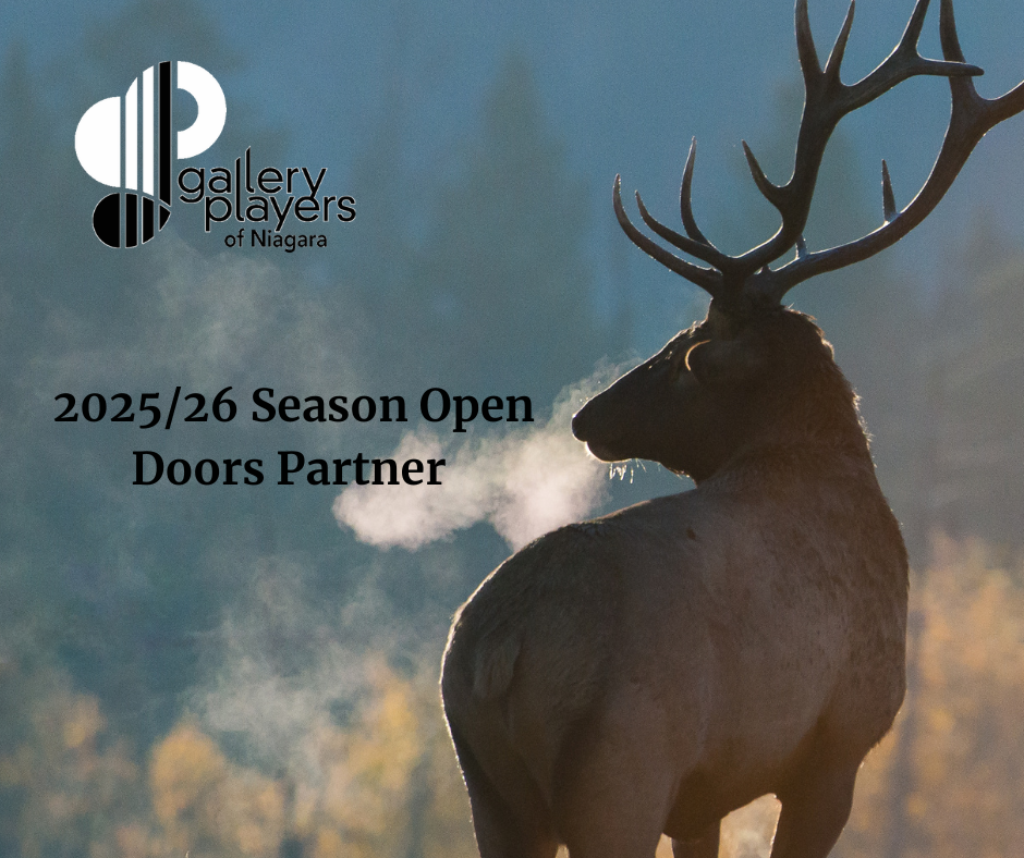 2025/26 Gallery Players Open Doors Partner