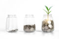 Saving money in jars and plant represent the growing more amount. Growing profit or more income like growing tree.